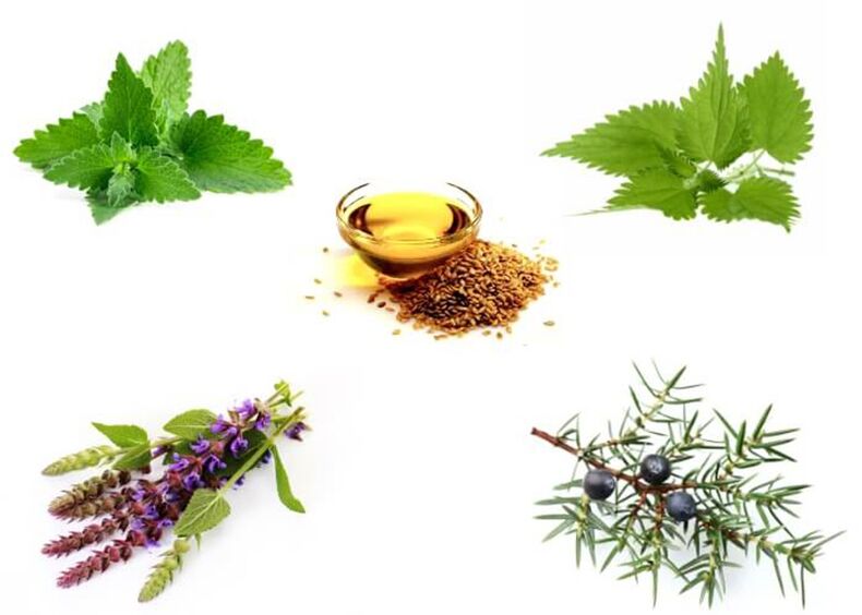 Mint, jelatang, thyme, juniper dan minyak biji rami