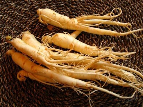 akar ginseng untuk meningkatkan potensi setelah 60