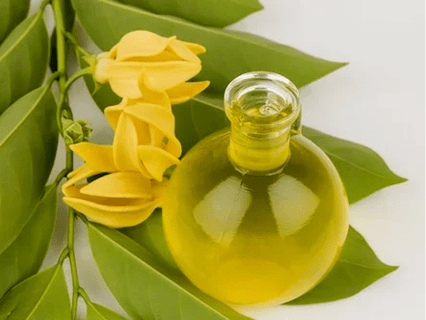 Aromaterapi untuk meningkatkan potensi